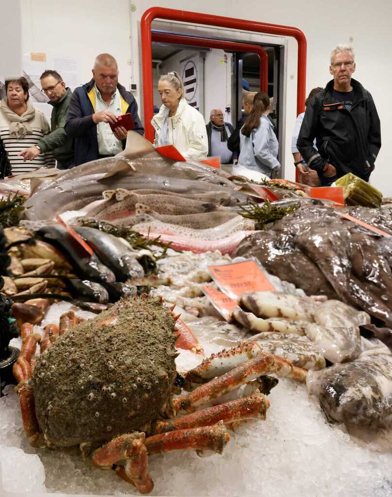Fischmarkt Den Oever
