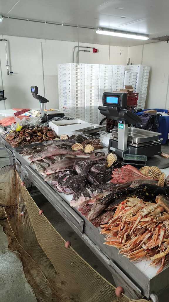 Fischmarkt Den Oever
