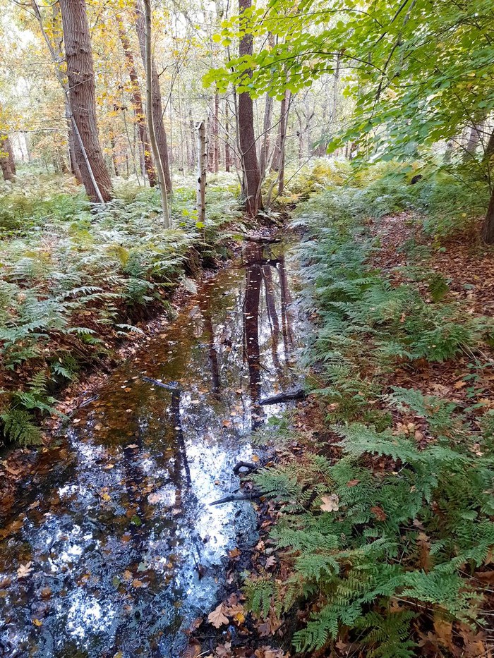 Tag der offenen Tür Naturschutzgebiet Wildrijk