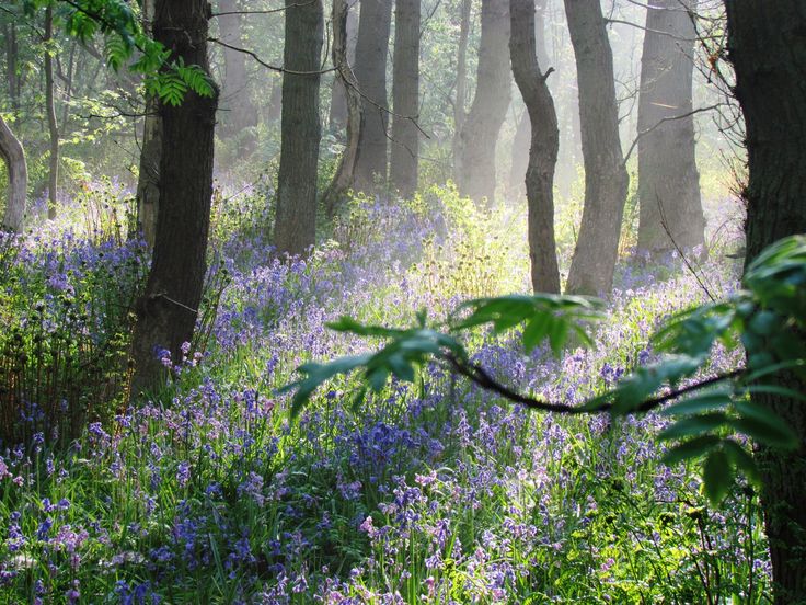 Tag der offenen Tür Naturschutzgebiet Wildrijk