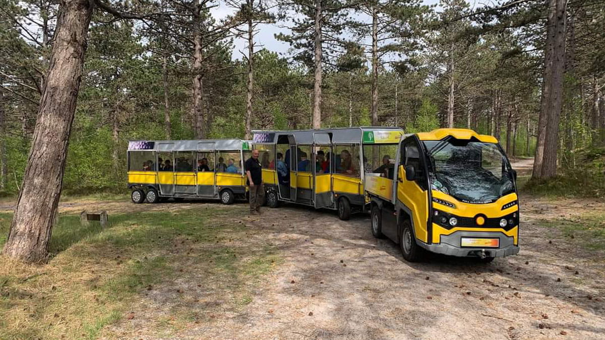 Mit dem "Sonnenzug" durch die Schoorlse Duinen