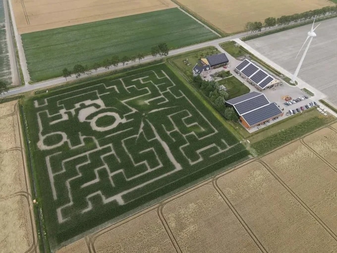 Maislabyrinth "Leben des Windes"
